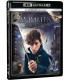 Fantastic Beasts And Where To Find Them [BLU_RAY]