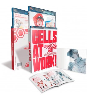 Cells At Work! (Vol. 1 +2 Primera Temporada Completa) [Blu-ray] (2018) Hataraku Saibou