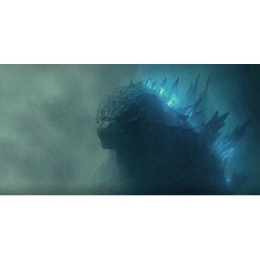 Godzilla: King Of The Monsters [DVD]