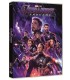Avengers: Endgame [DVD]