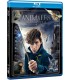 Fantastic Beasts And Where To Find Them [BLU_RAY]