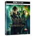 Fantastic Beasts Pack 1 To 3 [BLU_RAY]