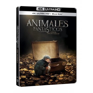 Fantastic Beasts And Where To Find Them [BLU_RAY]