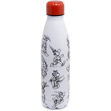 Botella Astérix de Astérix y Obélix Térmica Acero Inoxidable 500 mls