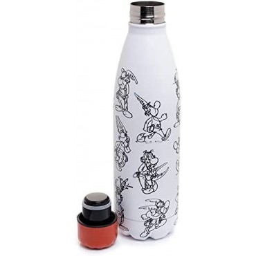 Botella Astérix de Astérix y Obélix Térmica Acero Inoxidable 500 mls