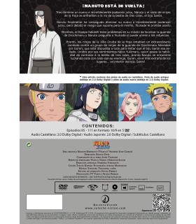 Naruto Shippuden BOX 4 [DVD]