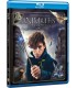 Fantastic Beasts And Where To Find Them [BLU_RAY]