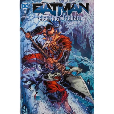 Figura Robin Page Punchers DC Con Cómic Fighting The Frozen Articulada 18 cms