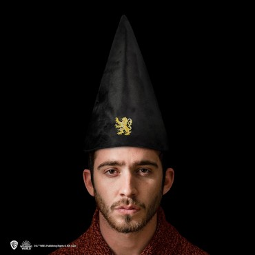 Gorro de Mago Estudiante de la Casa Gryffindor Hogwarts Harry Potter 
