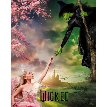 Placa Decorativa Wicked Elphaba Y Glinda Disney Metálica Cuadro Póster HD