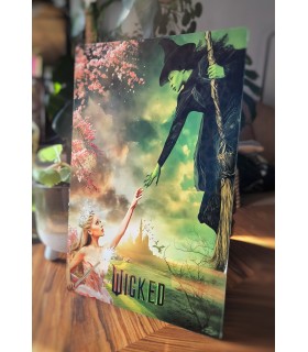 Placa Decorativa Wicked Elphaba Y Glinda Disney Metálica Cuadro Póster HD