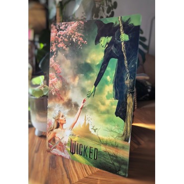 Placa Decorativa Wicked Elphaba Y Glinda Disney Metálica Cuadro Póster HD