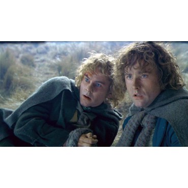 Trilogía El Señor De Los Anillos Extendida [DVD]