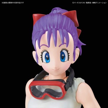 Figura Bulma Y Motocicleta N19 Dragon Ball Model Kit 16 cms