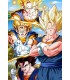 Placa Decorativa Vegito Super Saiyan Dragon Ball Z Metálica Cuadro Póster HD 