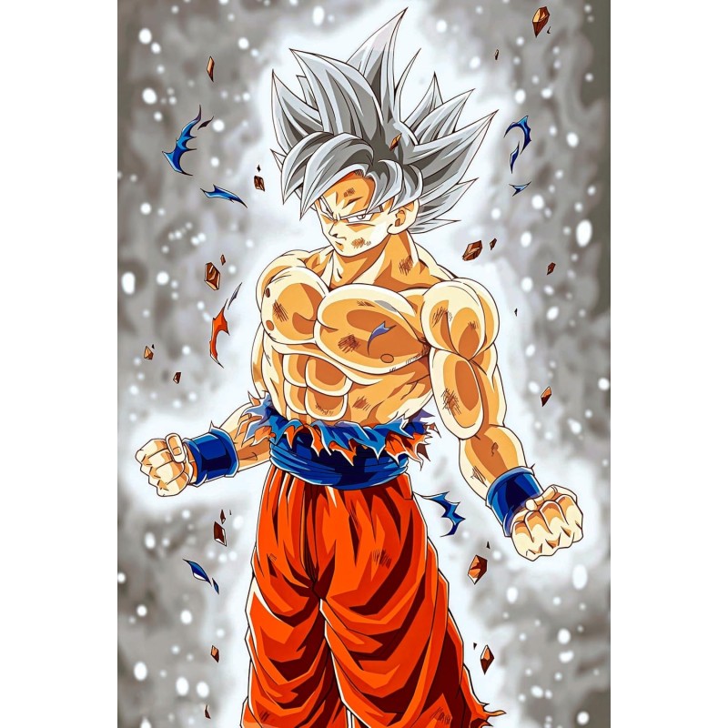 Placa Decorativa Goku Ultra Instinto Dragon Ball Super Metálica Cuadro Póster HD