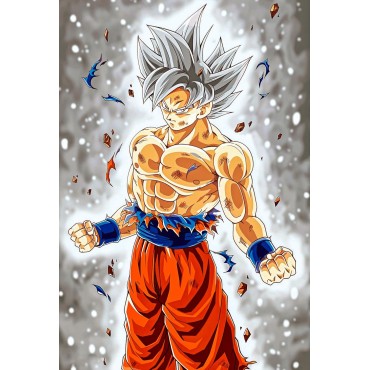 Placa Decorativa Goku Ultra Instinto Dragon Ball Super Metálica Cuadro Póster HD