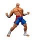 Figura Sagat Street Fighter II The Final Challengers Articulada 19 cms