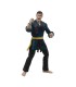 Figura JCVD Jean Claude Van Damme Blue Gi Deluxe Articulada 18 cms