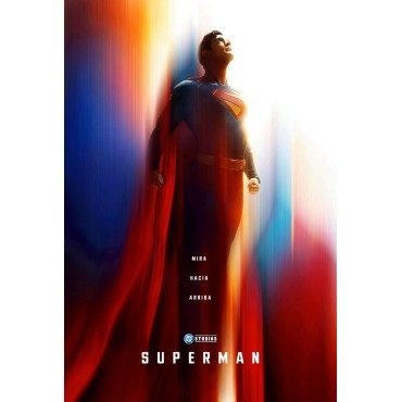Placa Decorativa Superman DC Metálica Cuadro Póster HD