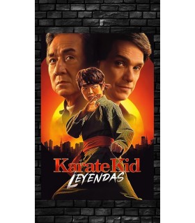 Placa Decorativa Karate Kid Leyendas Metálica Cuadro Póster HD