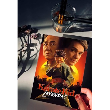 Placa Decorativa Karate Kid Leyendas Metálica Cuadro Póster HD