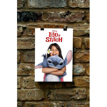 Placa Decorativa Lilo & Stitch Disney Metálica Cuadro Póster HD