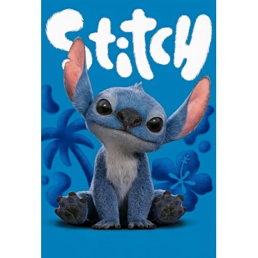 Placa Decorativa Stitch Lilo & Stitch Disney Metálica Cuadro Póster HD