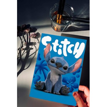 Placa Decorativa Stitch Lilo & Stitch Disney Metálica Cuadro Póster HD