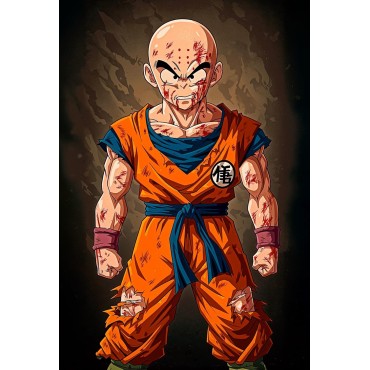 Placa Decorativa Krilin Metálica Cuadro Póster HD