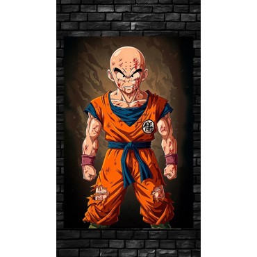 Placa Decorativa Krilin Metálica Cuadro Póster HD