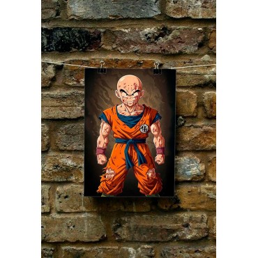 Placa Decorativa Krilin Metálica Cuadro Póster HD